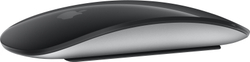Беспроводная мышь Apple Magic Mouse 2 Space Grey MMMQ3