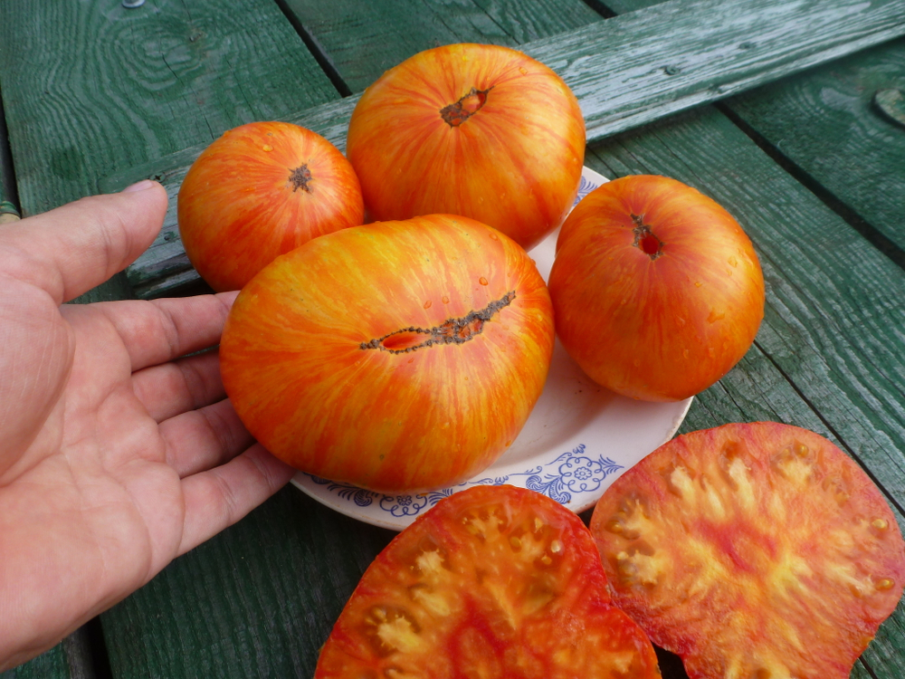 Помидоры - Beauty King - Король Красоты