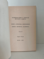 Комментарии к книгам Ветхого Завета. Т.16: Книга пророков: Иезекииля и Даниила
