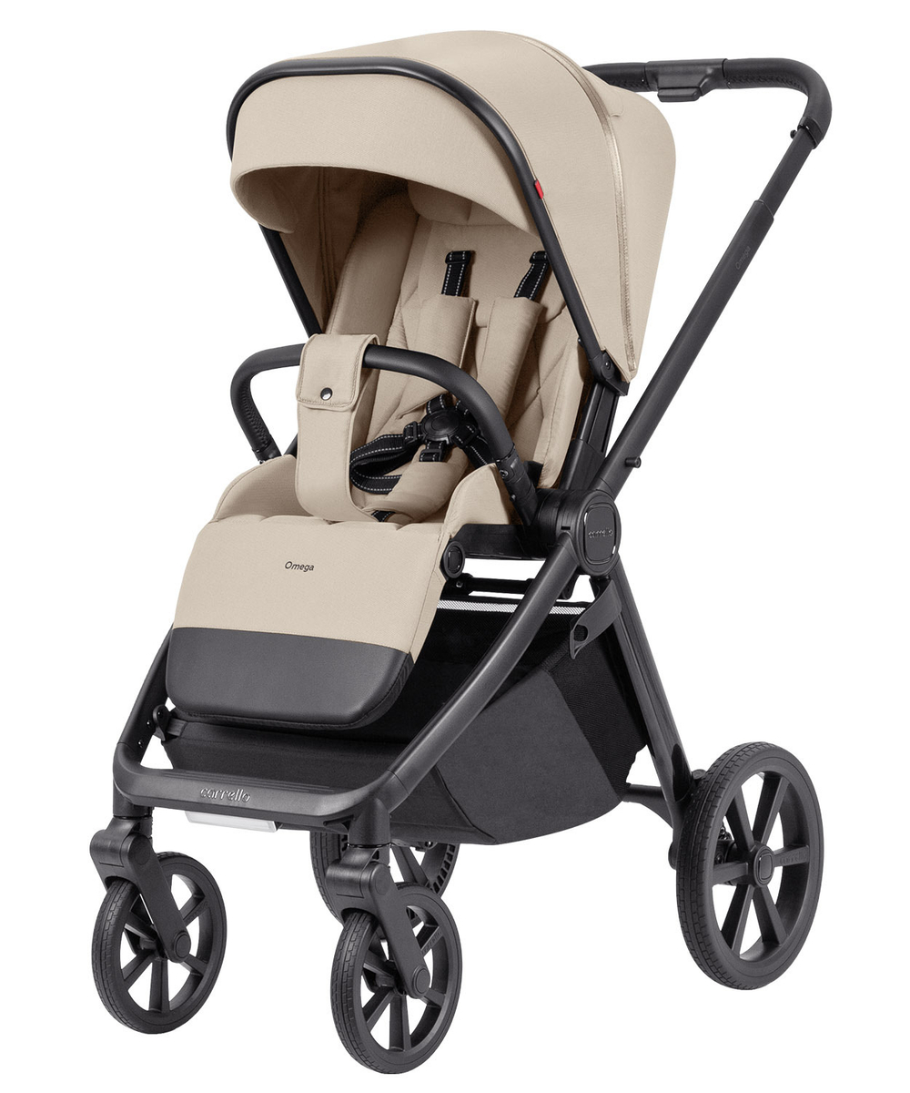 Коляска 2 в 1 Carrello Omega+ CRL-6540/1