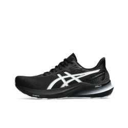Мужские кроссовки ASICS GT-2000 12 'Black White' 1011B691-006