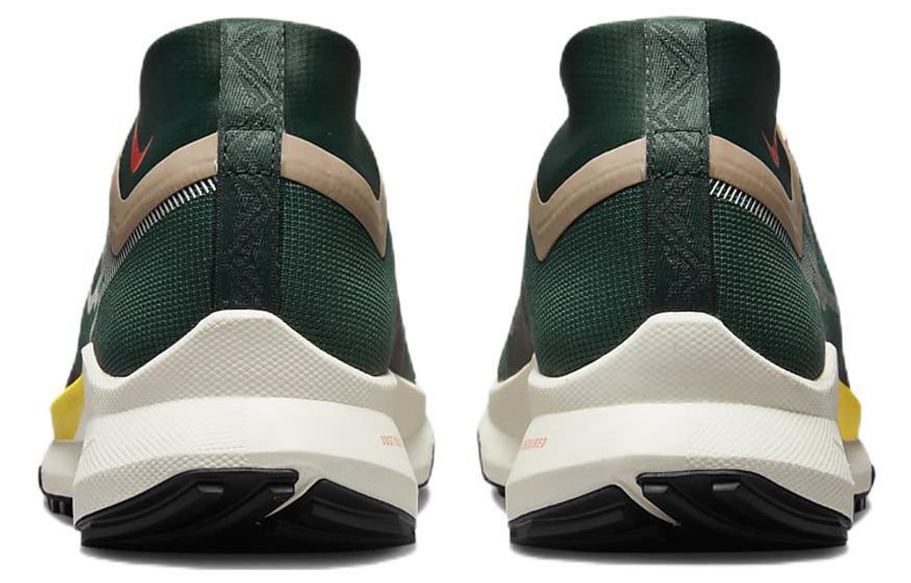 Кроссовки Nike Pegasus Trail 4 Gore-Tex