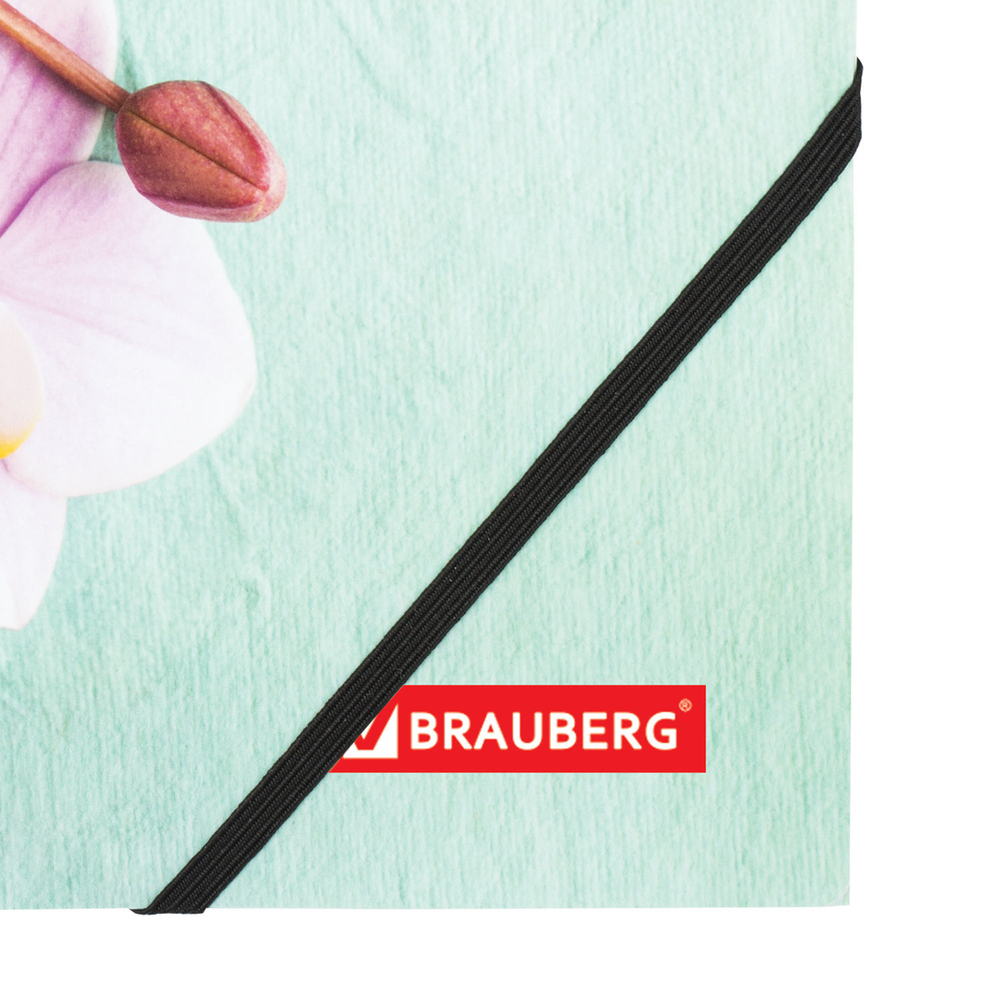 Папка на резинках BRAUBERG "FLOWER" А4 цветная печать до 300 листов 500 мкм (6 штук в упаковке)