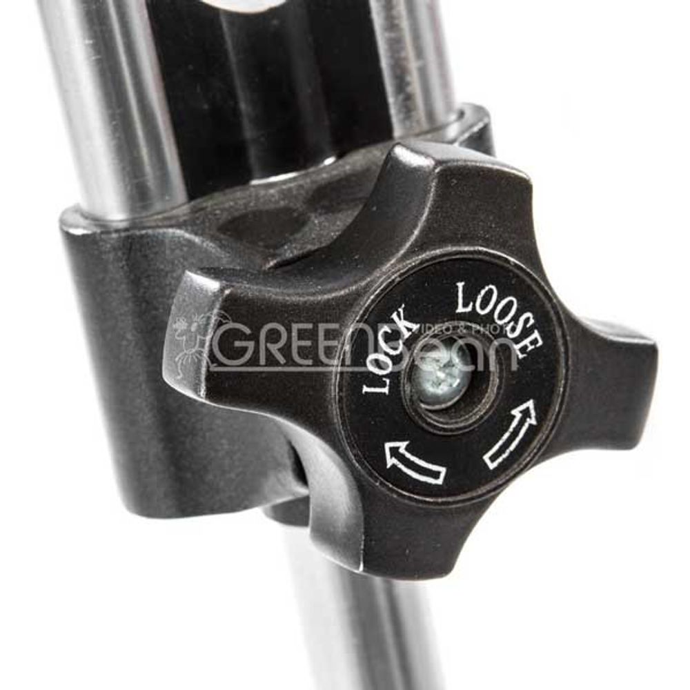 GreenBean VideoMaster 320