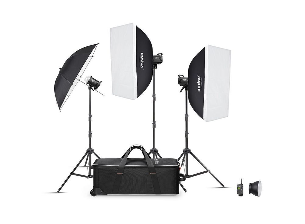 Комплект студийного света Godox MS300V-D