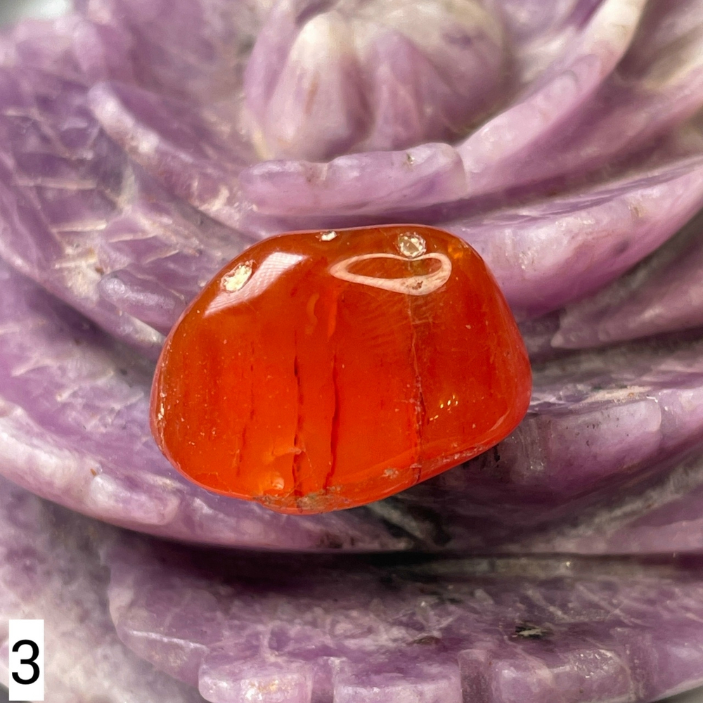 64171 Сердолик Галтовка 23-25мм №3--71