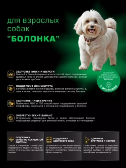 Корм сухой для собак породы Болонка, с ягненком, 800 гр
