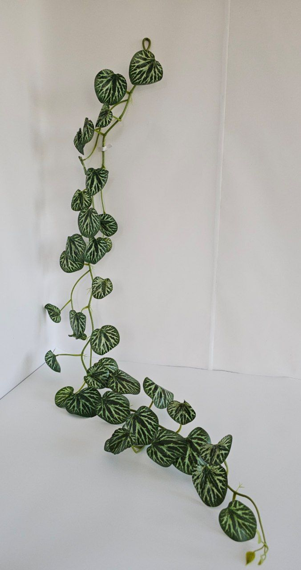 Лиана каменноломка / Арт 4091