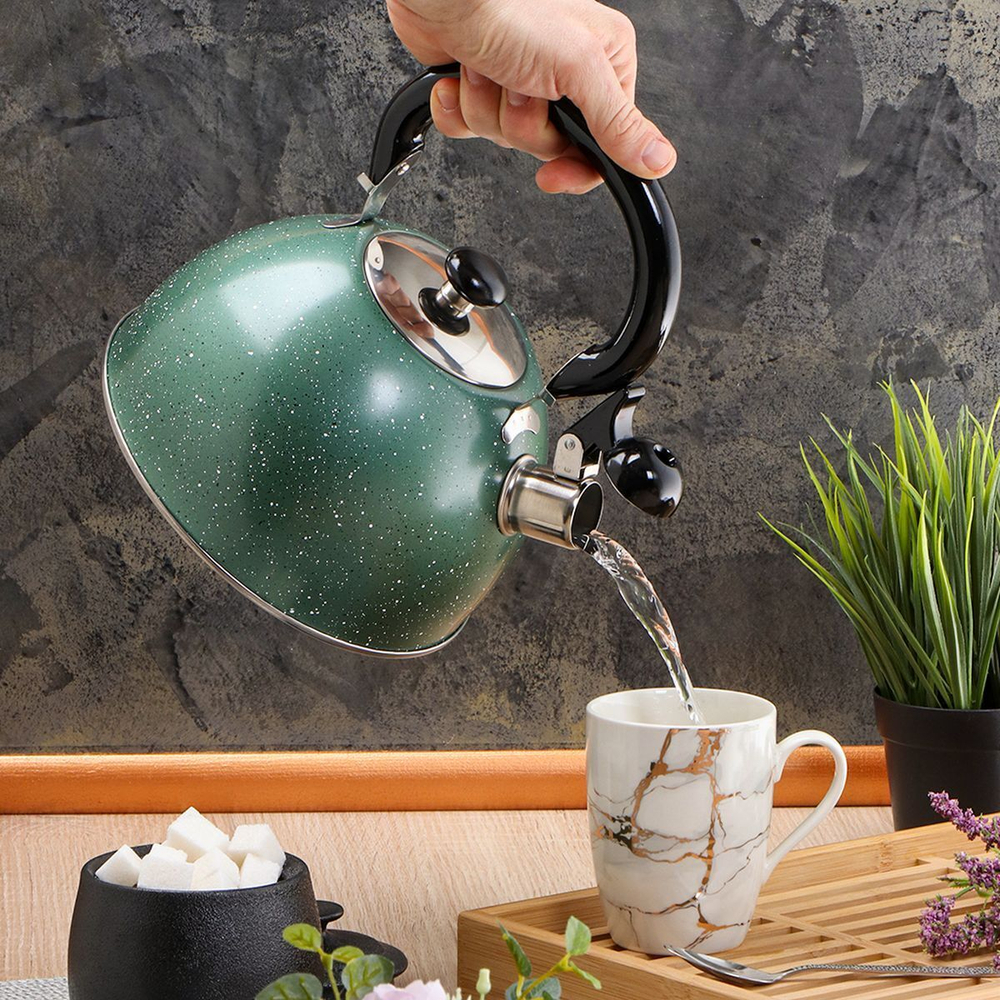 Чайник нерж, 3 л, свист, ручк бакелит, Daniks, индукц, зел, M-009GR