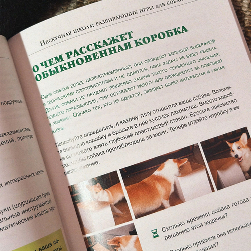 Ольга Кажарская. Нескучная школа. (Развивающие игры для собак)