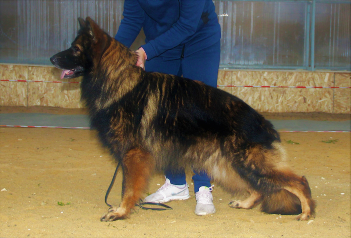 Туадаш ВИЛЬСОН