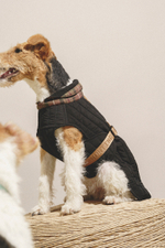 Попона "Пони-Шерлокони"