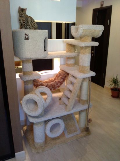 Домик для кошки Д-104