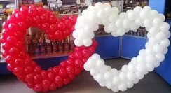 Двойное сердцу