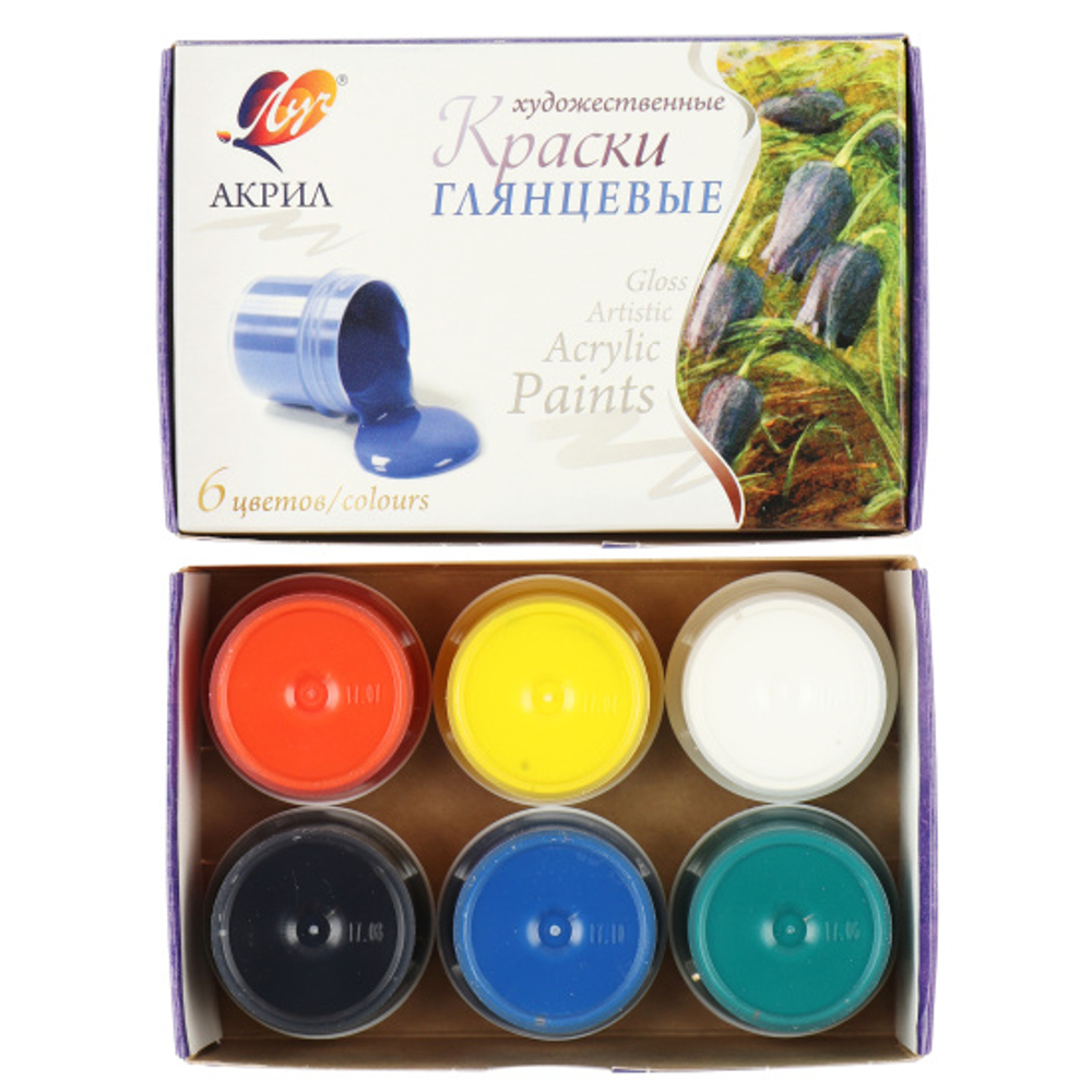 Краска акриловая художественная, 6 цветов, 20 мл, картонная коробка, Луч, 22С 1408-08