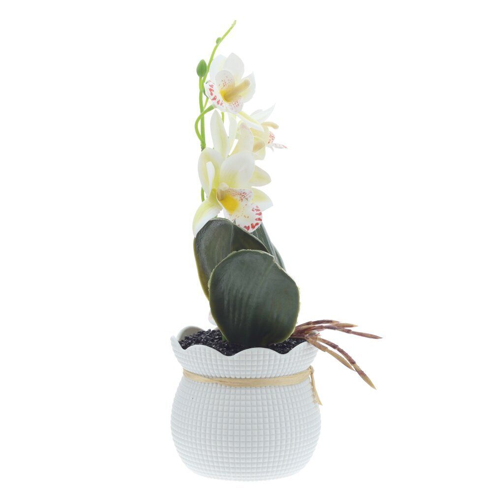 GAEM Цветочная композиция "Орхидея", L13 W12 H29 см