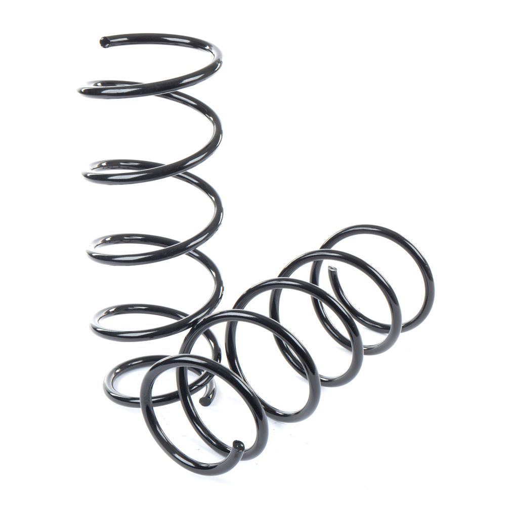 Пружины GANZ передние L R RENAULT Kangoo 1.2 / 1.4 / 1.6L all - 08 (комплект из 2шт)