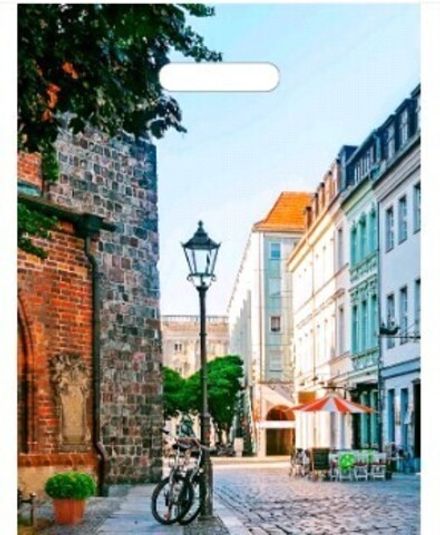 Пакеты с вырубной ручкой "Улица" 31х40+6см 60мкм (50/500шт)