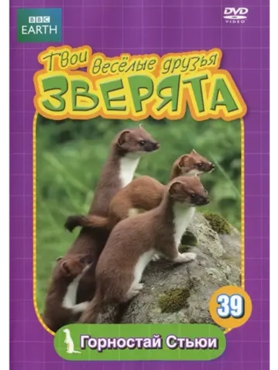 BBC: Твои веселые друзья зверята: Горностай Стьюи (DVD-R)
