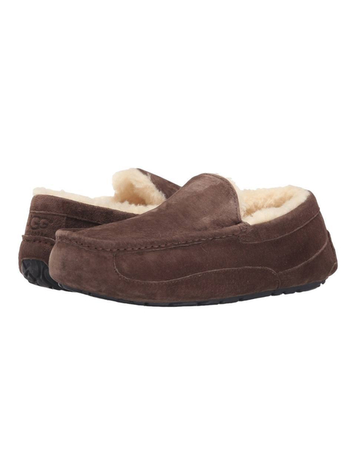 Ugg Mens Ascot Chocolate