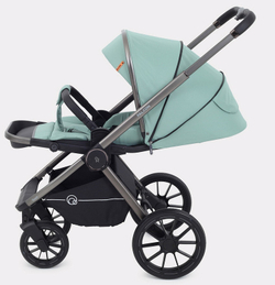 Детская коляска Rant Falcon 2 в 1 Green