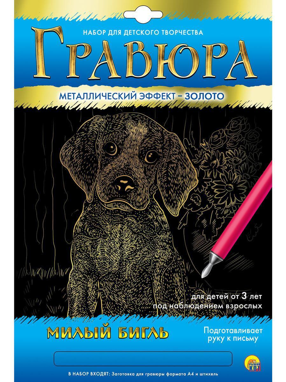 Гравюра А4 в конверте. Золото "Милый бигль" ( Арт. Г-5976)