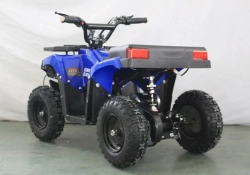Электроквадроцикл Green Camel Гоби K24 (36V 800W R6 Цепь)