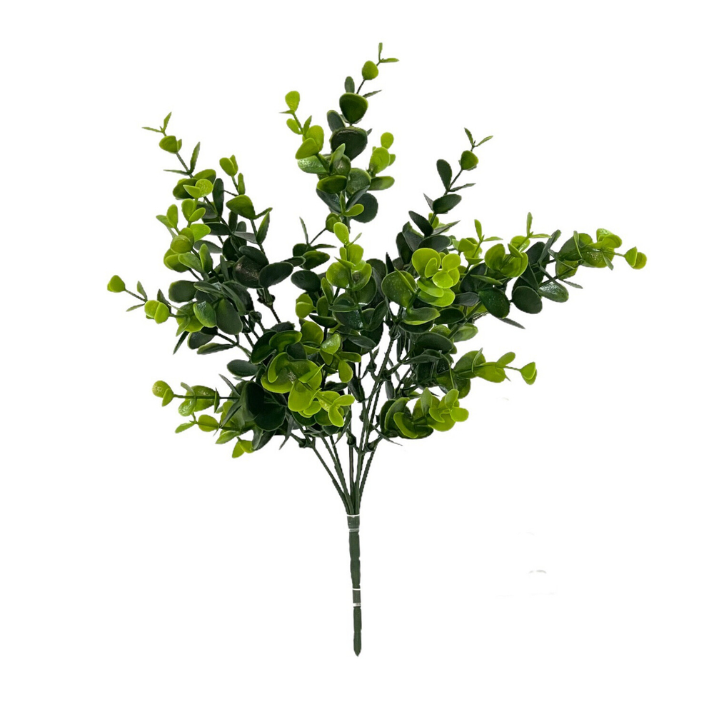 Самшит куст 30 см