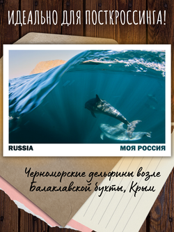 Моя Россия. Лето (выпуск №3, 2024)