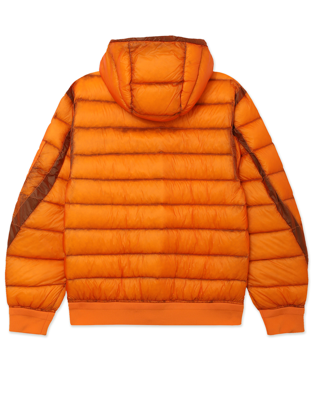 Мужской Пуховик In Dd-shell