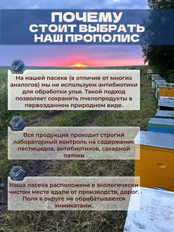 Прополис пресованный (30 капсул)