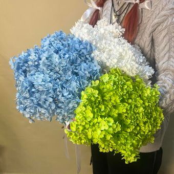 Стабилизированные цветы, Сухоцветы