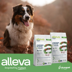 Корм Аллева Холистик Holistic Chicken & Duck + Aloe vera & Ginseng Medium для взрослых собак средних пород, с курицей и уткой, алое вера и женьшенем, 2 кг