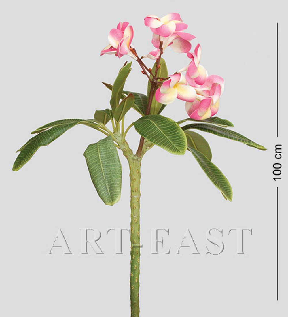 TR 614L Плумерия 8 бутонов