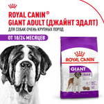 Royal Canin Giant Adult Корм сухой для взрослых собак очень крупных размеров 4 кг
