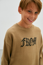 Джемпер д/м DELORAS 22324