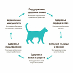 Корм сухой для кошек с белой рыбой и индейкой, пакет 400г, Grandorf Cat White Fish & Turkey Skin & Coat Care