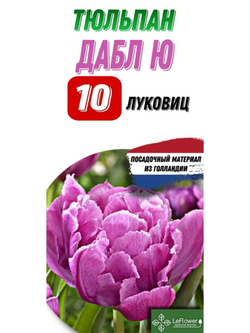 Тюльпан Луковица, Дабл Ю, 10шт