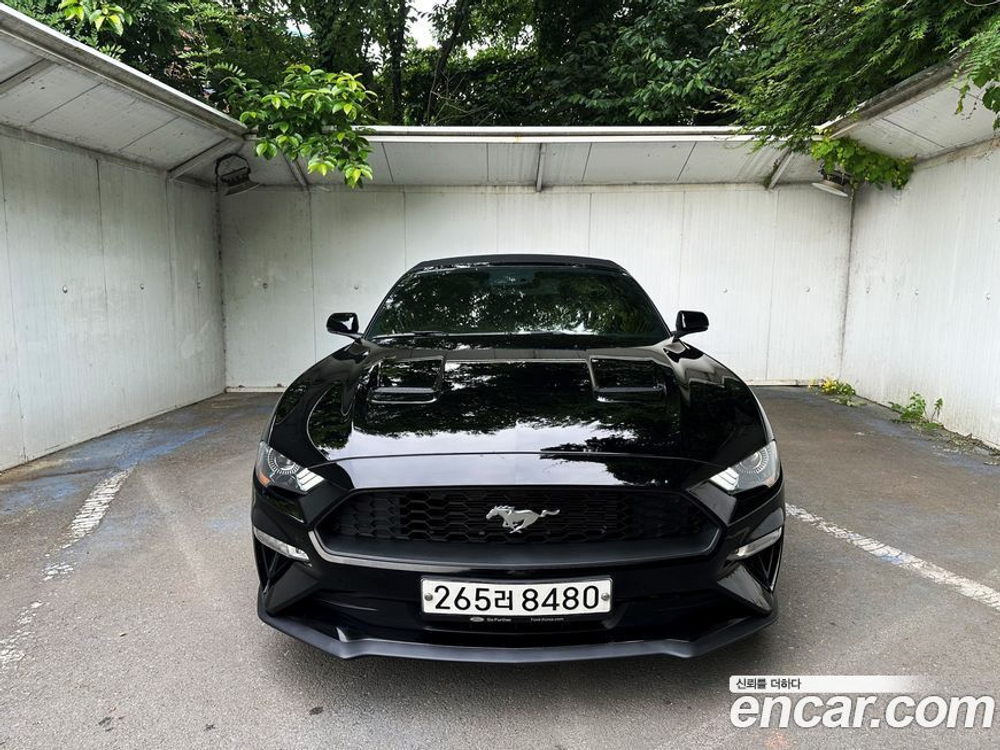 Ford Mustang Convertible (01.2020)