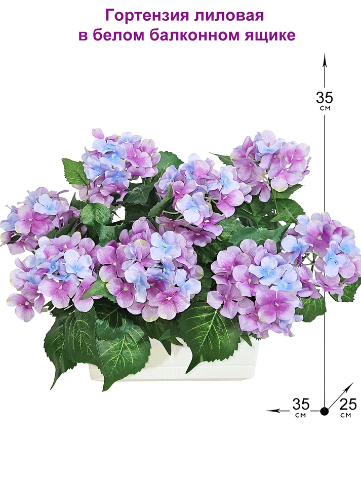 Гортензия лиловая 35см в белом балконном ящике