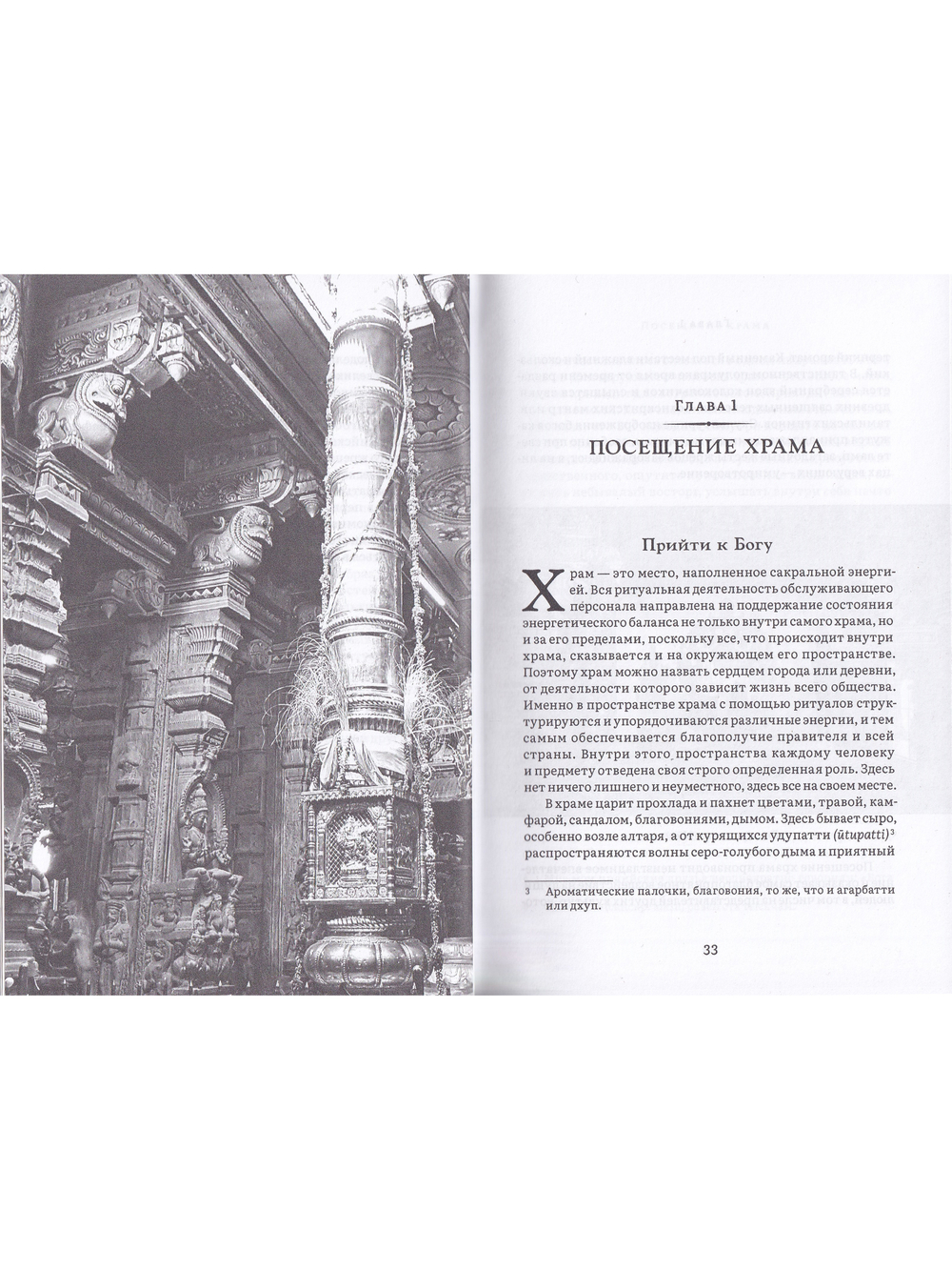 История и культура индийского храма. Книга II. Жизнь храма