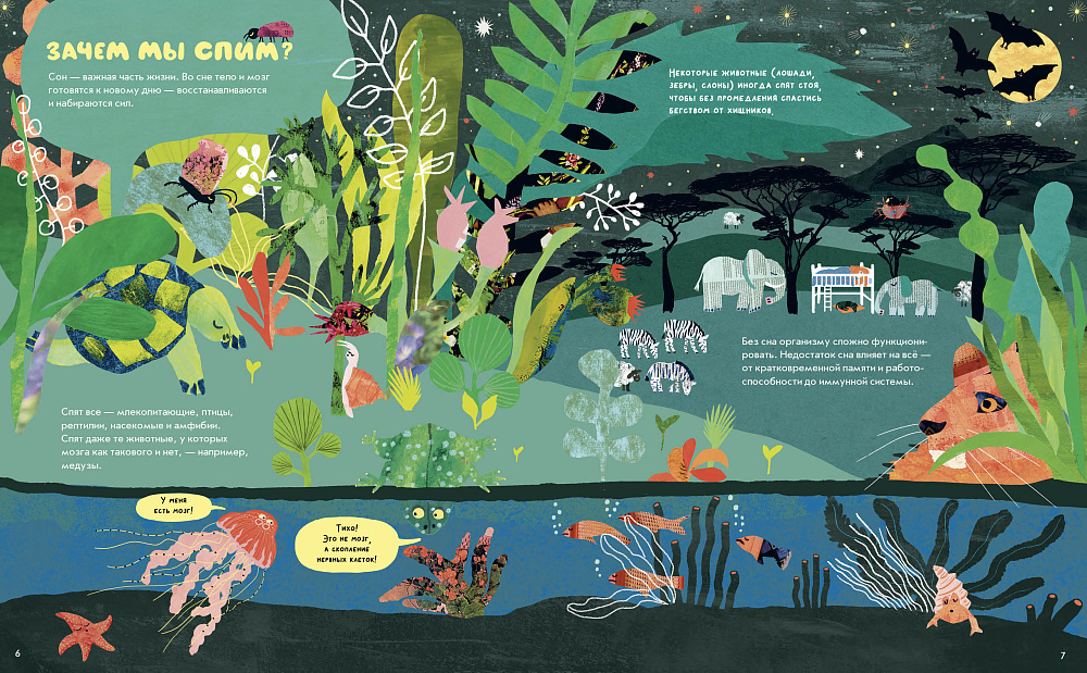 Почему мы спим?