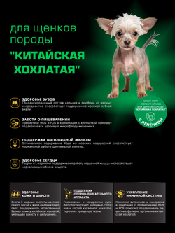 Quattro корм для щенков породы Китайская хохлатая, с ягненком, 6 кг, QUATTRO