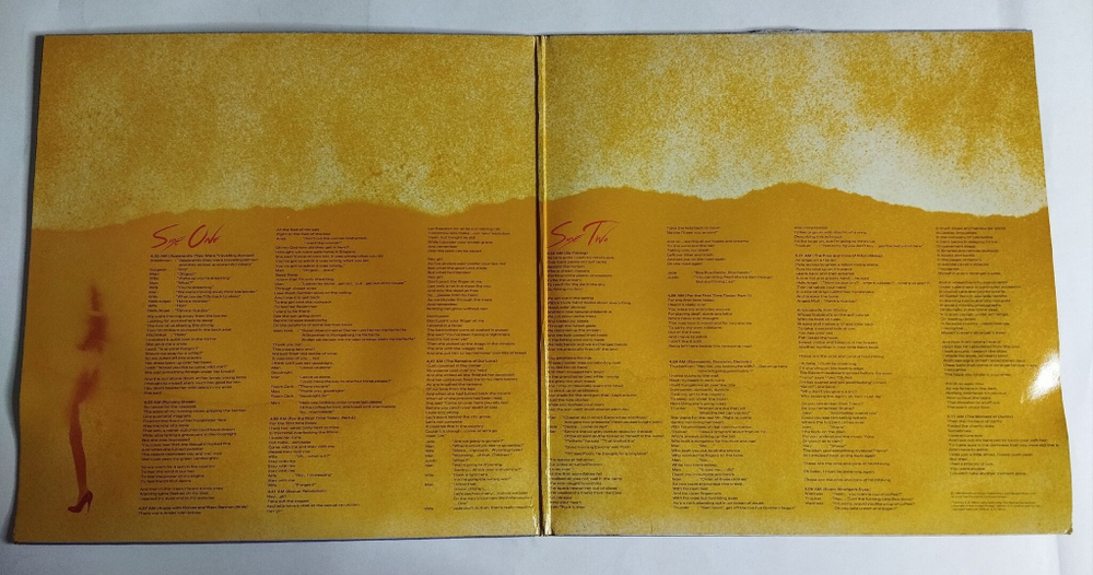 Винтажная виниловая пластинка LP Roger Waters The Pros And Cons Of Hitch Hiking (France 1984)