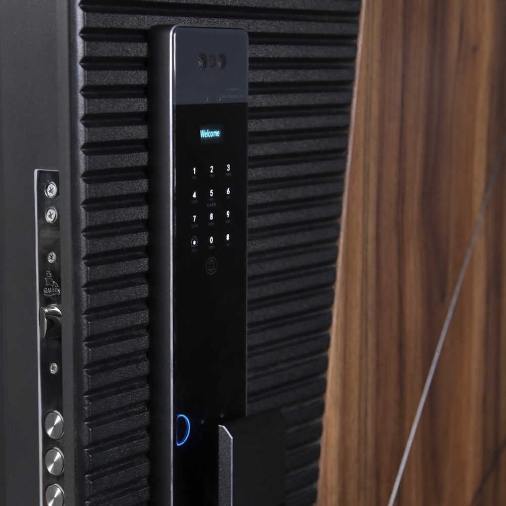 Стальная дверь "Берилл" (биометрический замок Y23). Заказная модель.