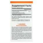 Natural Factors, CurcuminRich, Theracurmin, куркумин, 30 мг, 30 вегетарианских капсул