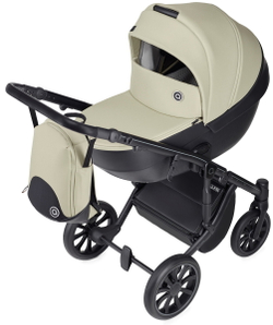 Детская коляска Anex m/type 2 в 1 sage