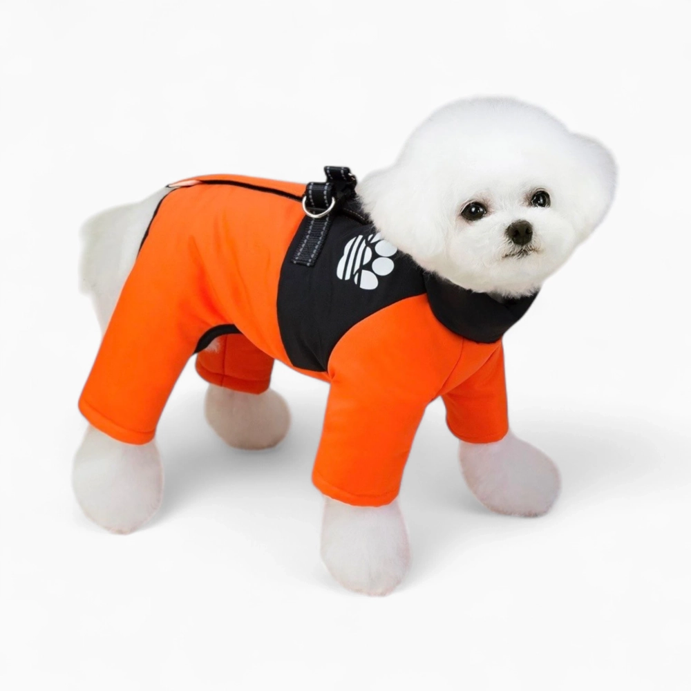 Комбинезон «Лапа»