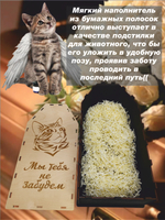 Гроб для кошки