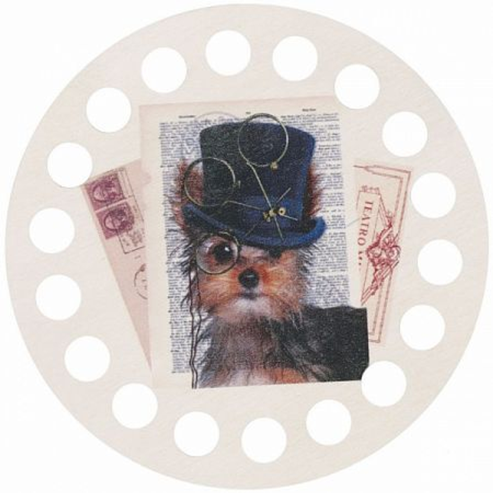 Органайзер для мулине DZ-31029 Buratini